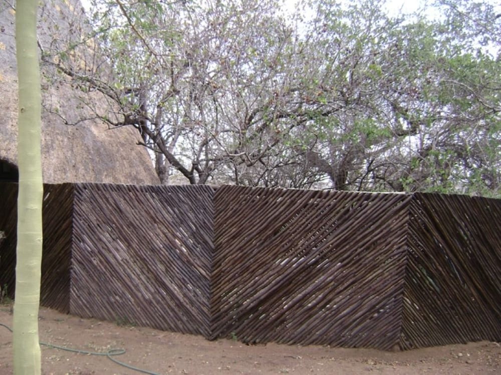 Fish Eagles Nest