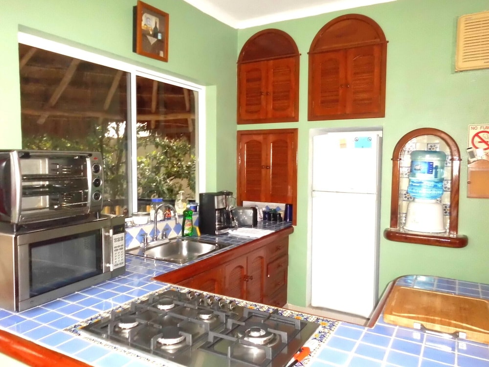 Casa Gatos