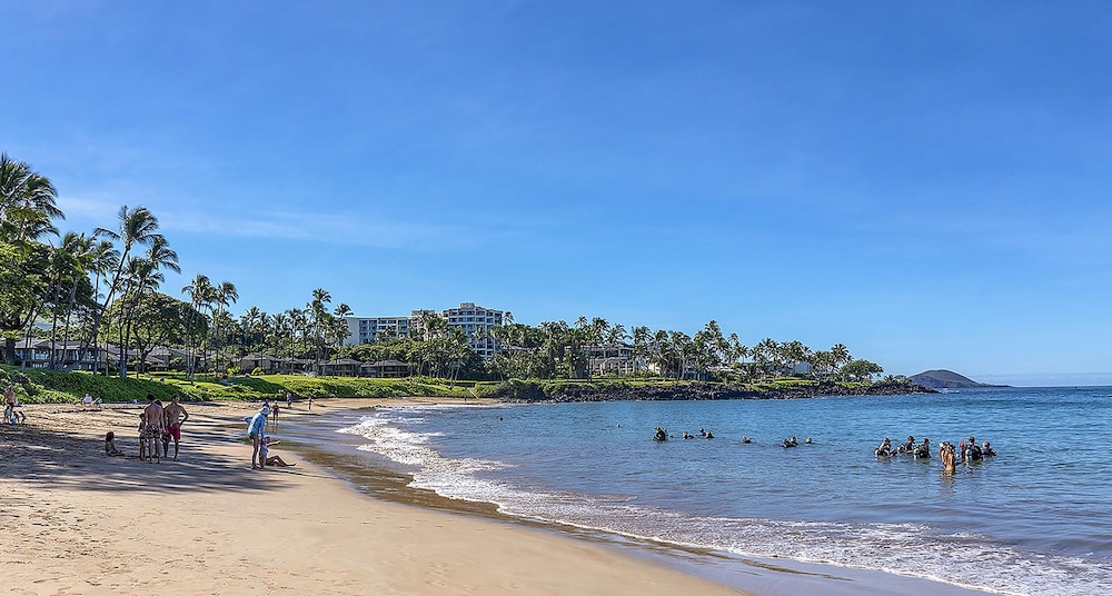 Wailea Ekolu 310 - Molokini to West Maui Ocean View, Modern Renovation, Split AC