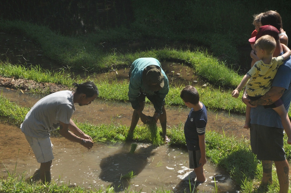 Tepi Sawah Lodge