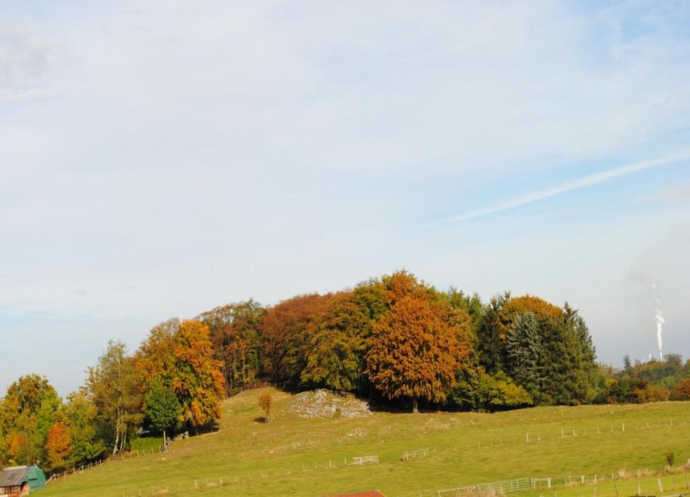 Appartementen Am Forstweg Yalet