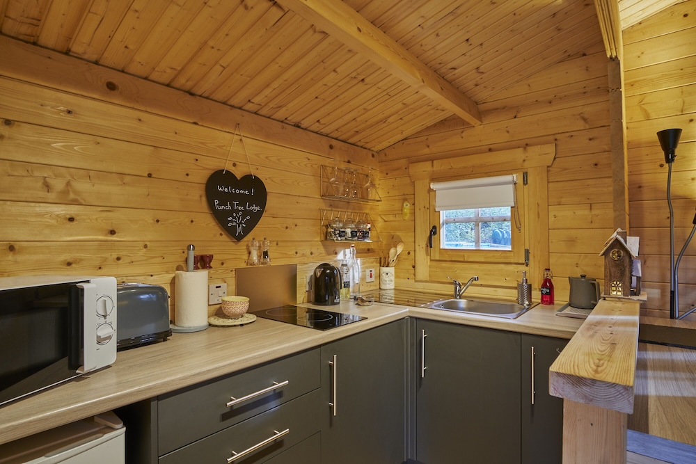1-bed Cabin, 2 Adults, Wood Burning Hot Tub & Fire view 5