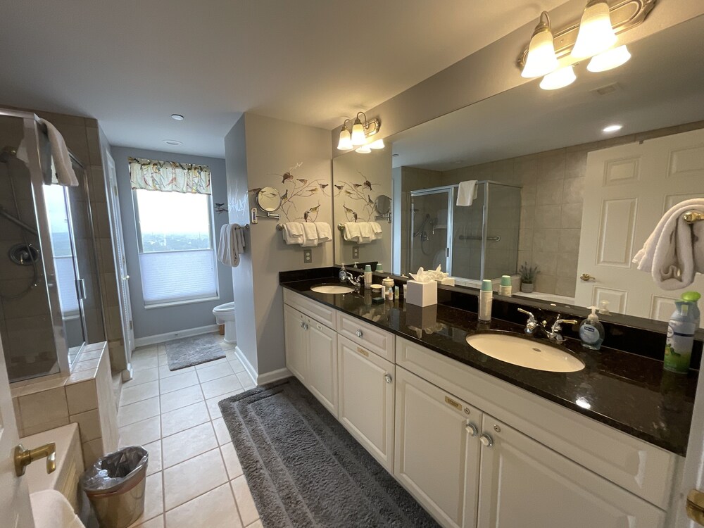 2207 Royale Palms 1 Bedroom Condo view 5
