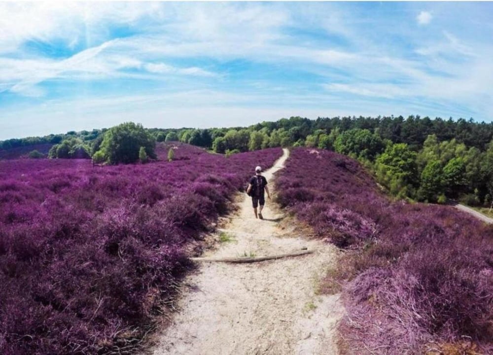 Chalet in Veluwe Near Kootwijkerzand