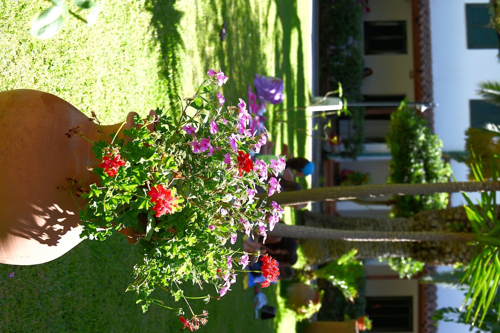 Hotel Residence Sciabache photo 4