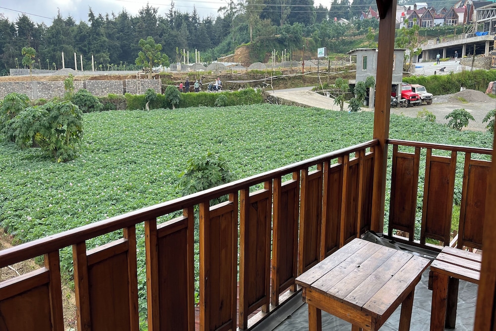 Fifa Cabin Dieng By Fifa Grup
