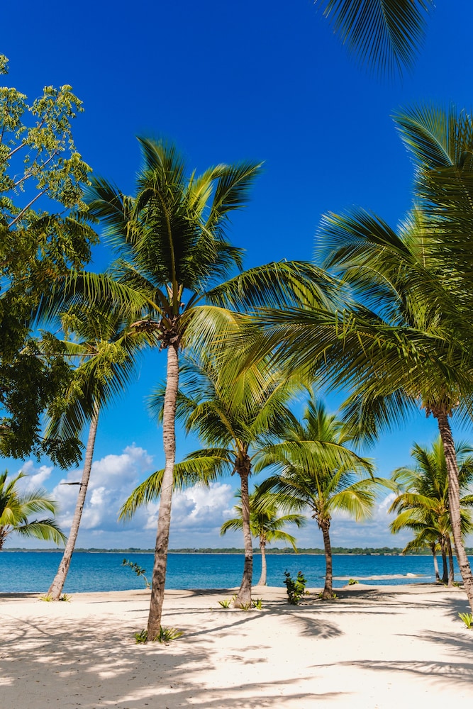 Playa Nueva Romana