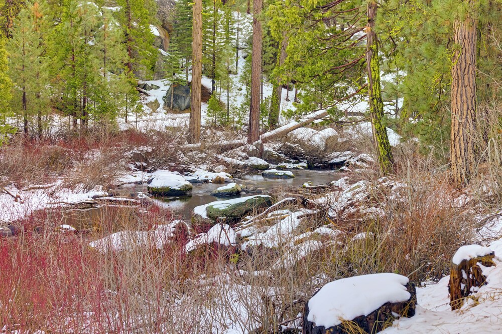 5 Mi to Dodge Ridge: Cabin in Strawberry