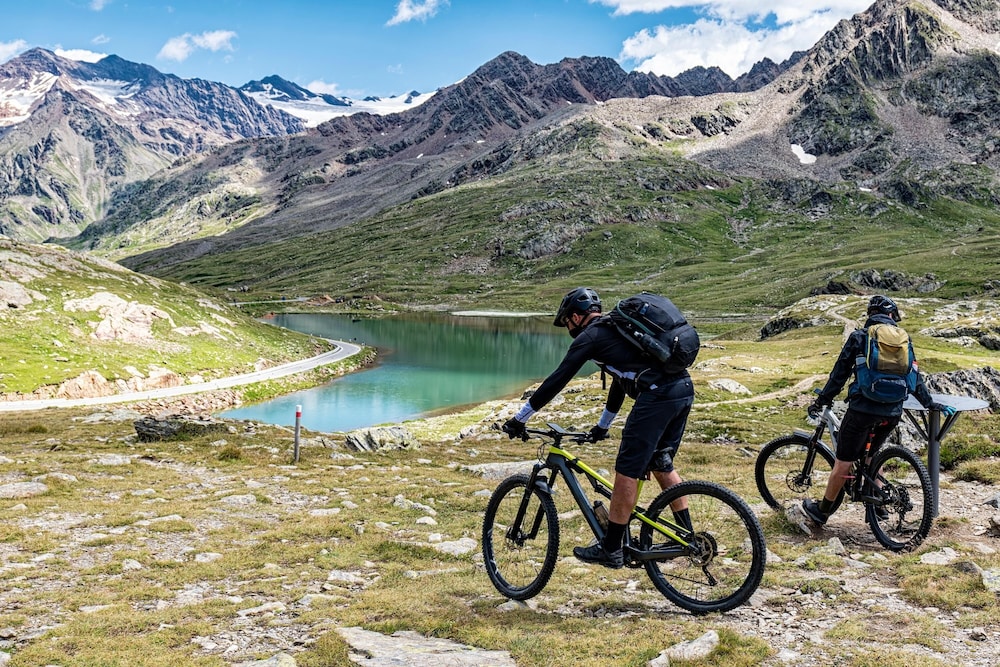 Gran Zebr Alpinbike view 2