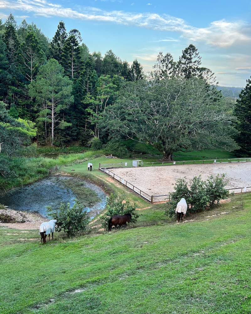 Ingleside Stud Farm