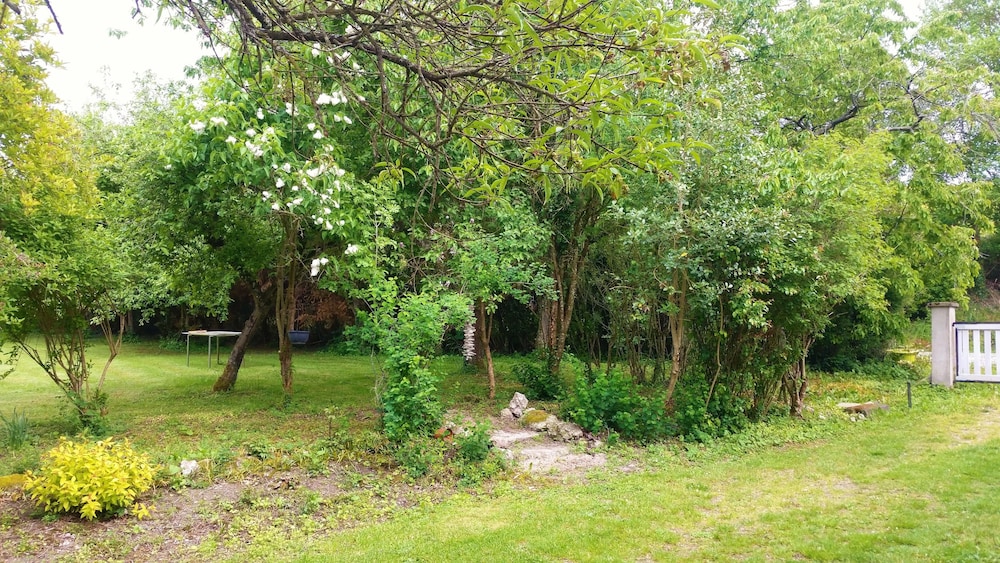Photo 44