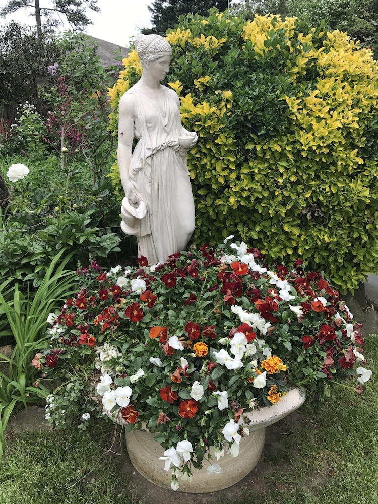 Rosewood Manor House B&B