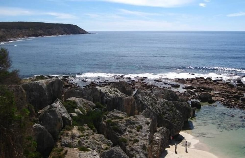 Waves and Wildlife
