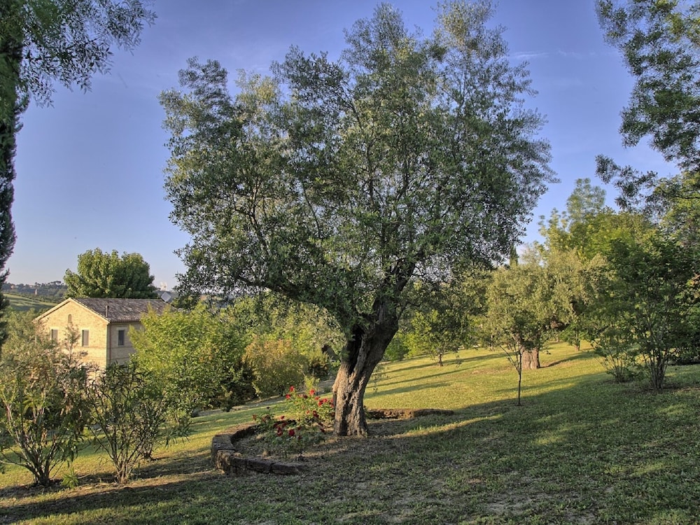Photo 25