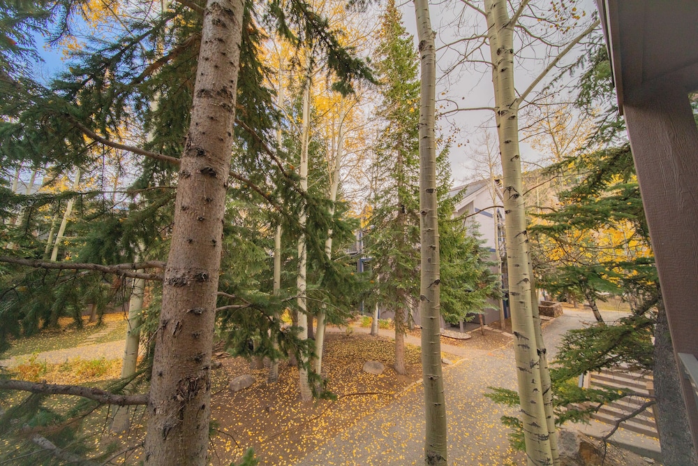 Slopeside 2730a