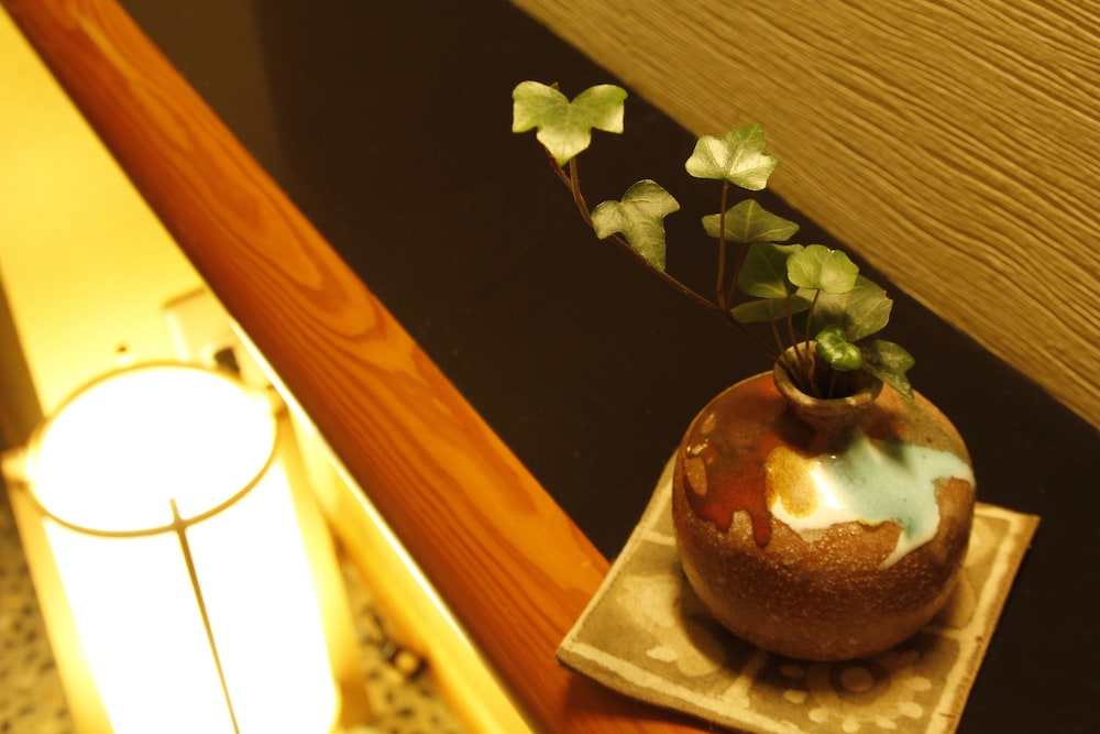 Onsen Ryokan Mitake