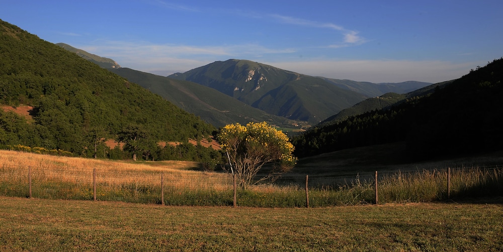 Vista del Mondo