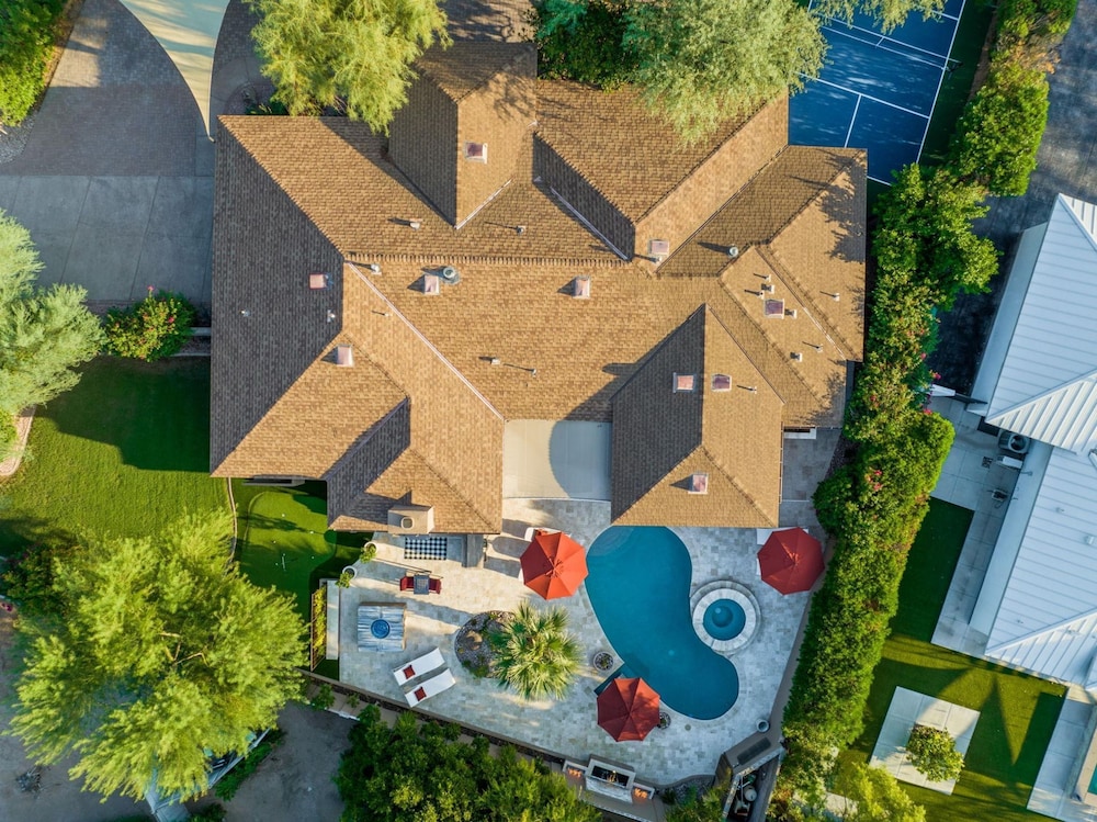 Chaparral in Paradise Valley