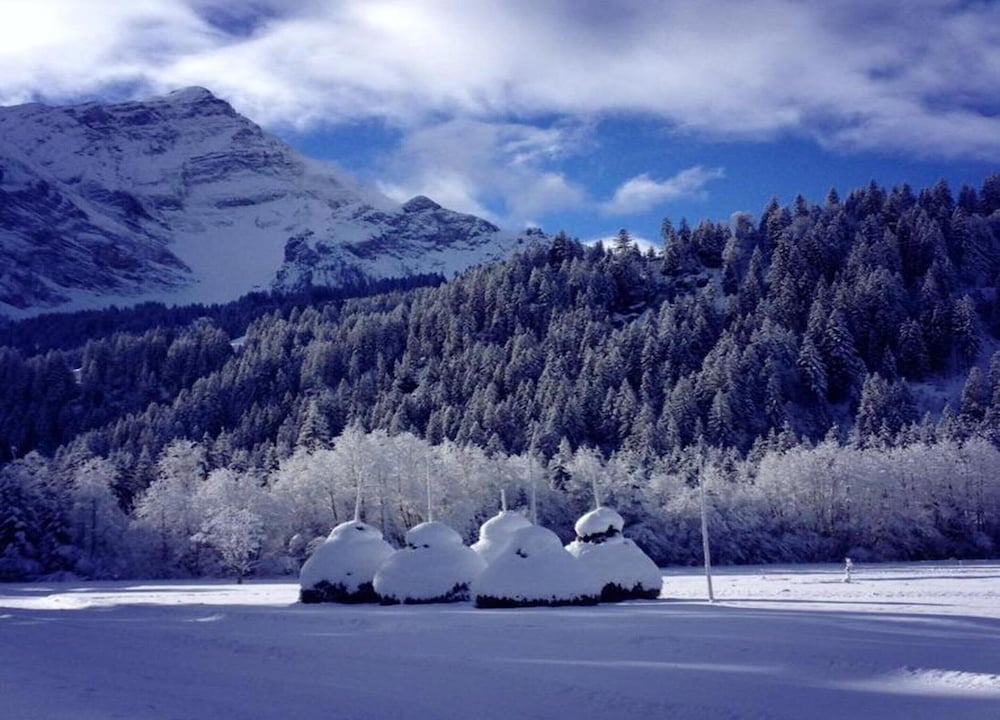 Contemporary Swiss Escape