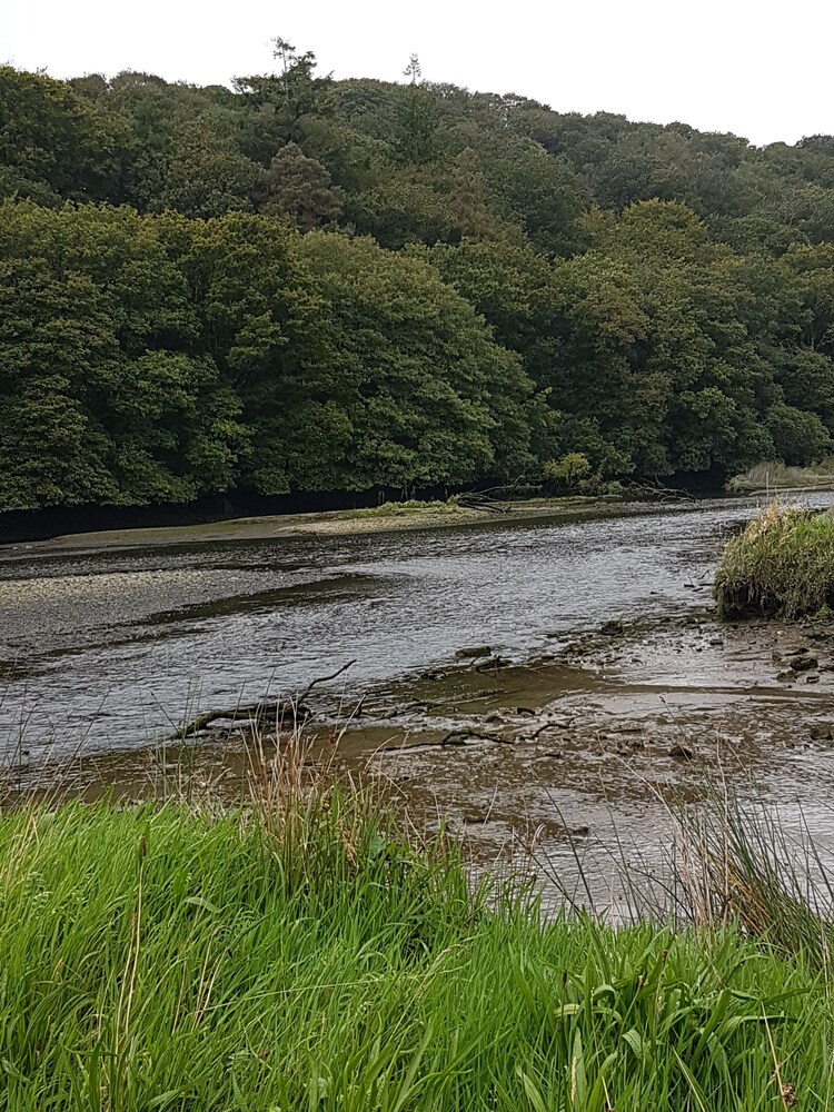 Kilcatten Lodge BB - Property Image 2