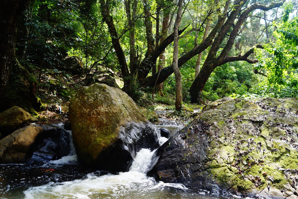 Secret Valley Jungle Resort