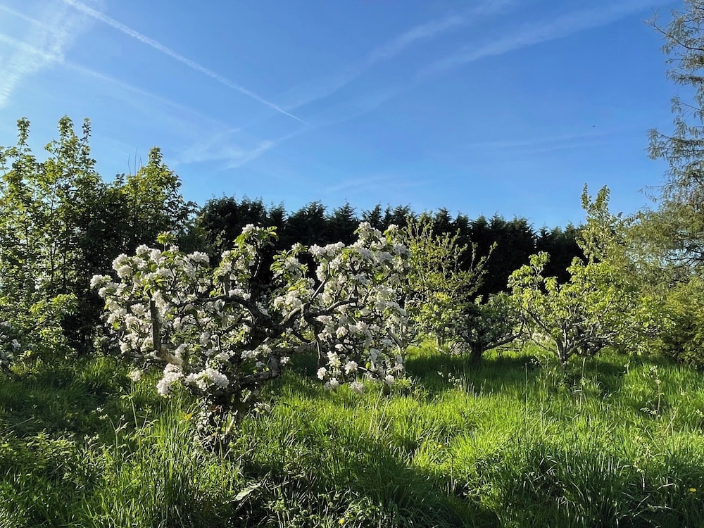 Tranquil Luxury Glamping Escape in Ross-on-wye 8