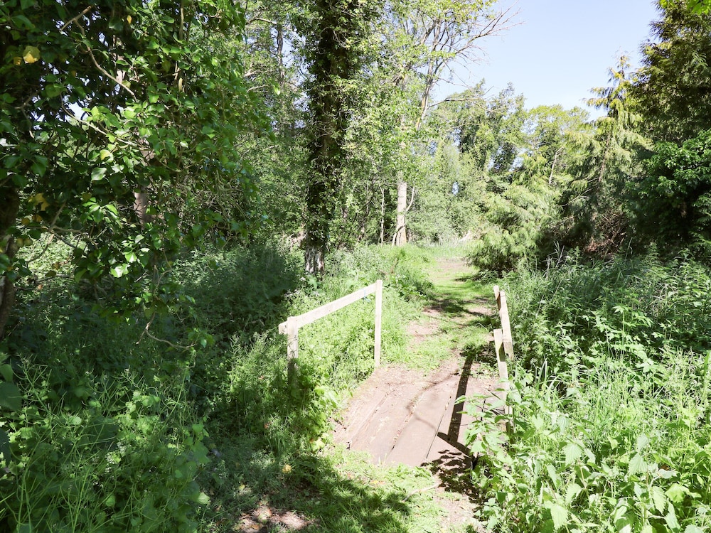 Meadow View
