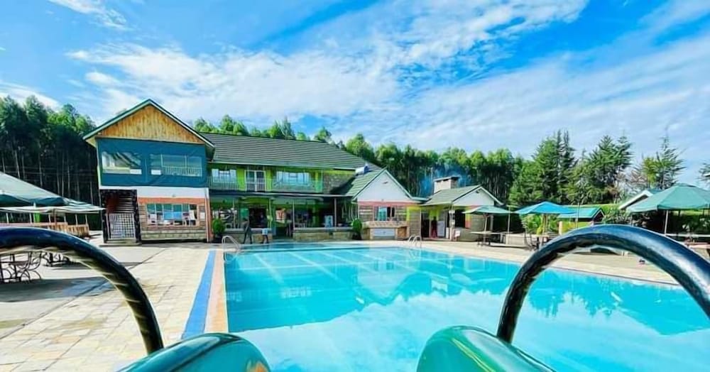Dive In M's Hotel