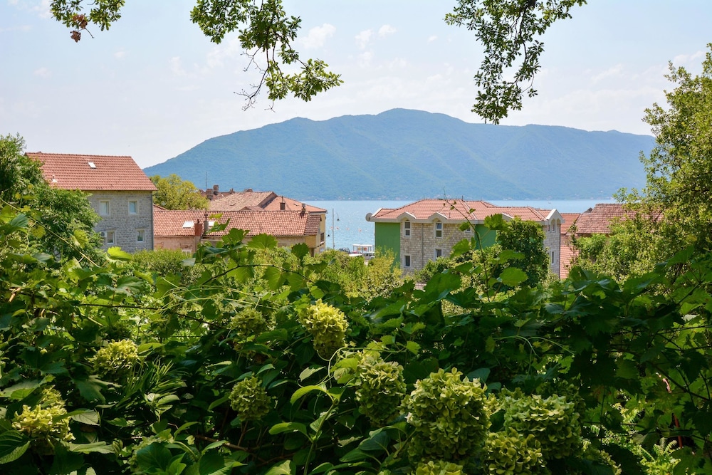 Apartments Risan Center