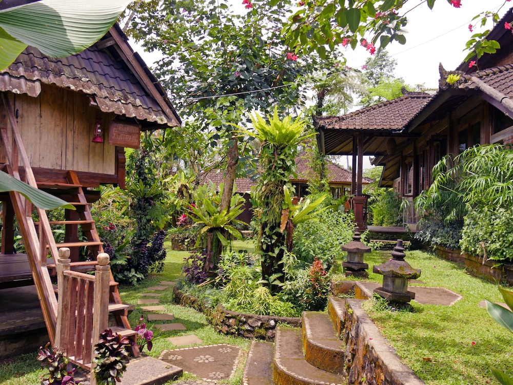 Bali Mountain Retreat