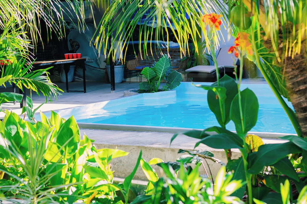 Ananas Guesthouse