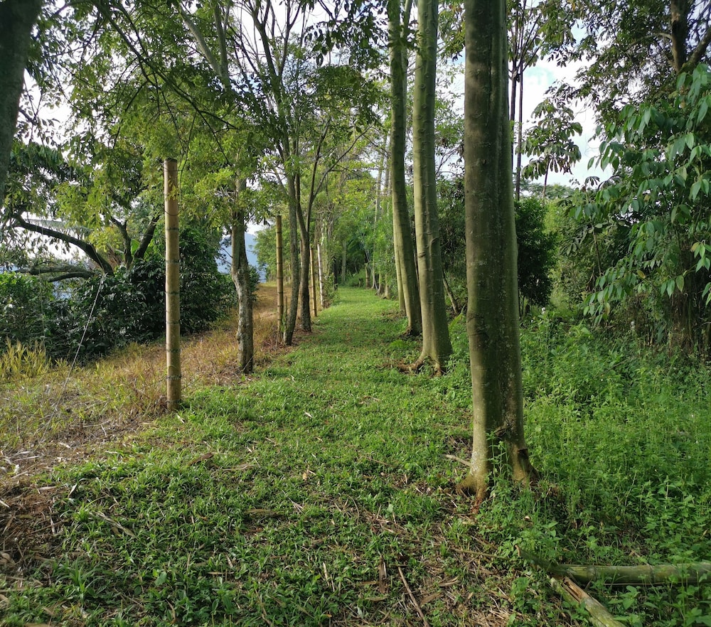 ELICERIO SALCEDO - Property Image 3