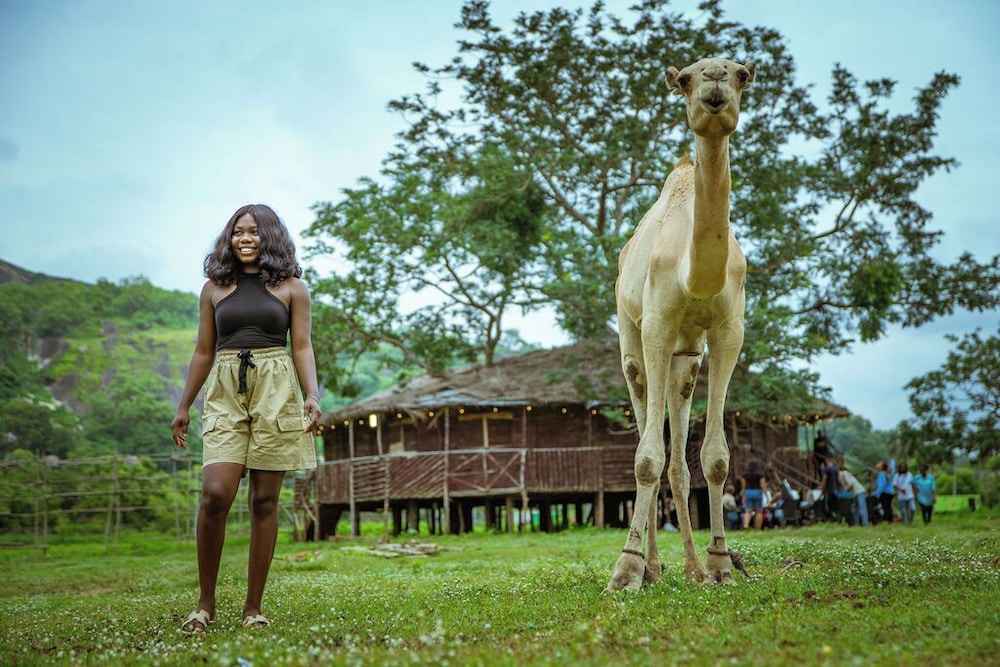 KAP Film Village & Resort
