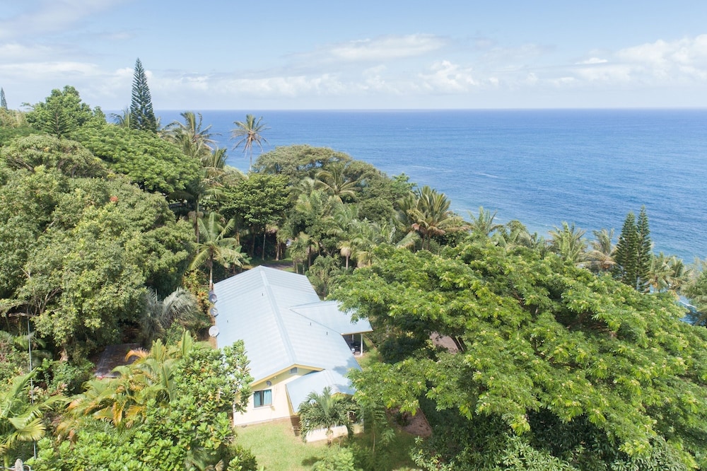 Hamakua Pukana La Hale 3 Bedroom Home by RedAwning view 3