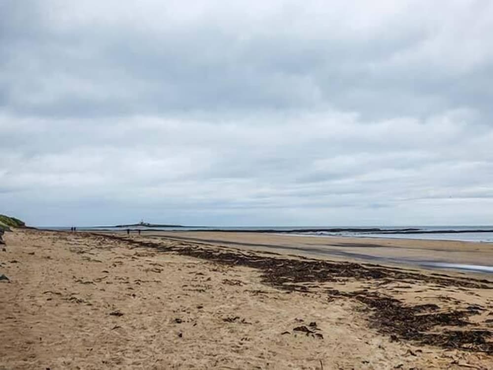 Sandy Knowes