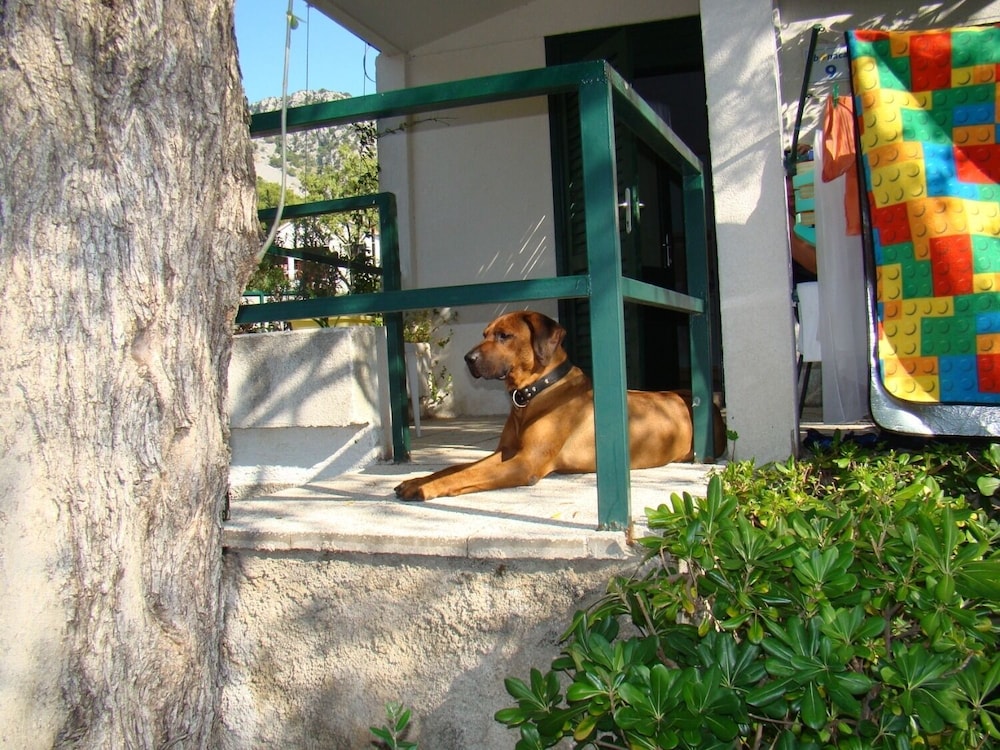 Photo 13