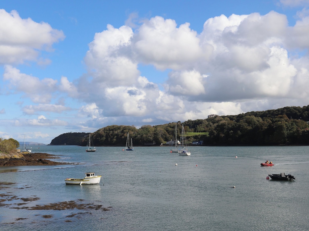 Ynys Castell