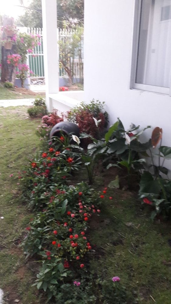 Sweethome - Hostel