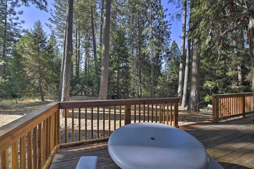 Cabin in Nat'l Forest 35 Min to Boreal Resort - Property Image 6