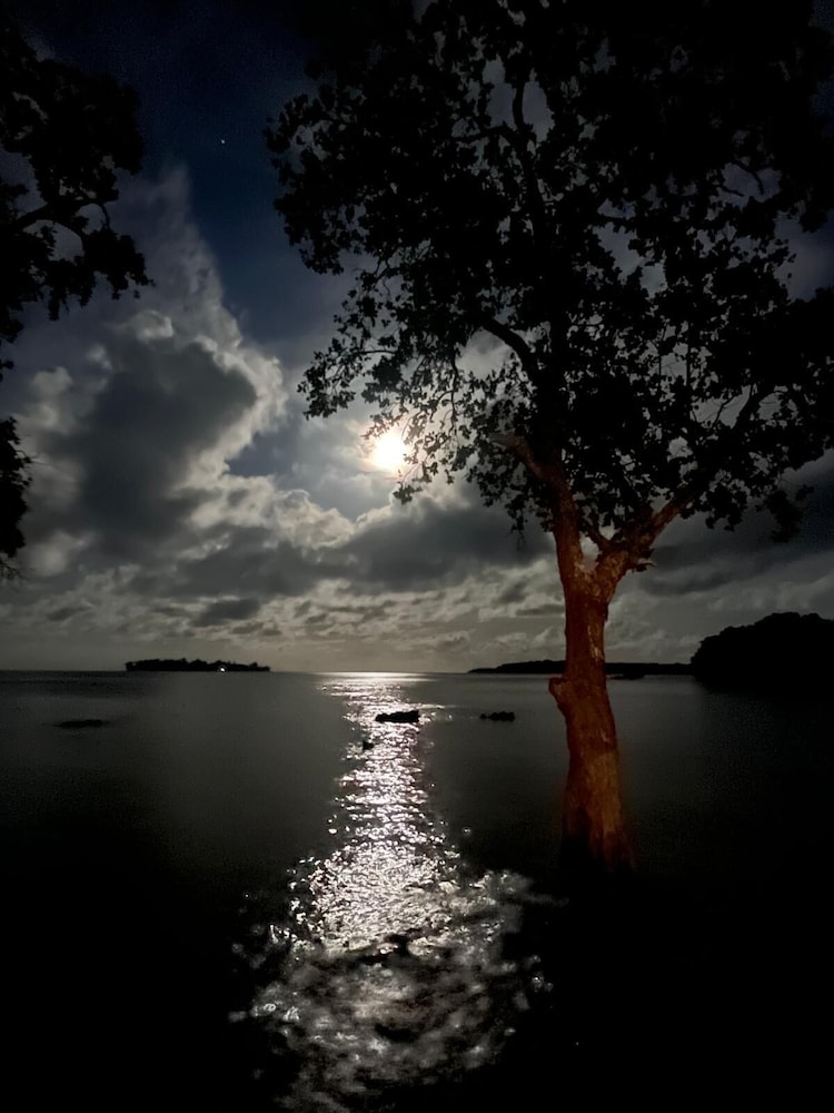 Dany Island