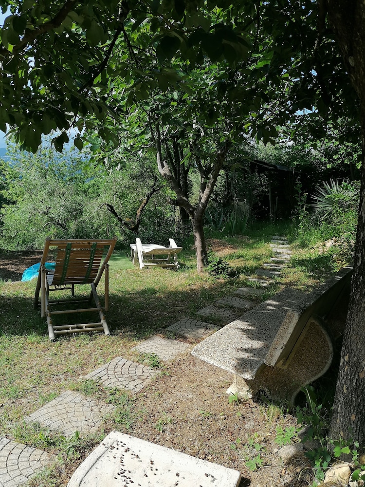 Photo 11