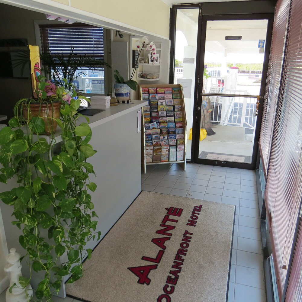 Alante Oceanfront Motel