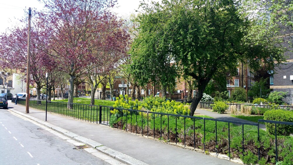 garden