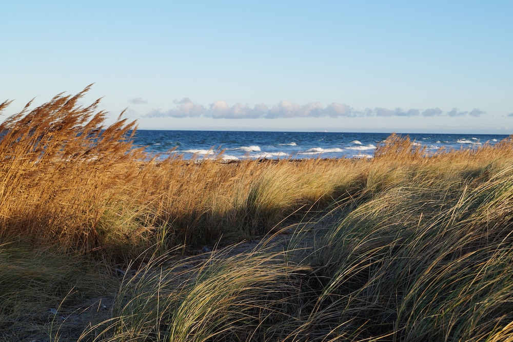 Strandleben Fehmarn - Ferienhaus 1 view 4