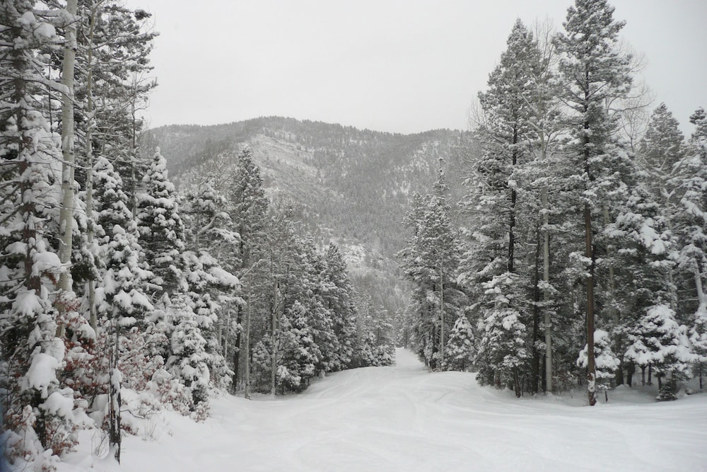 Photo 9