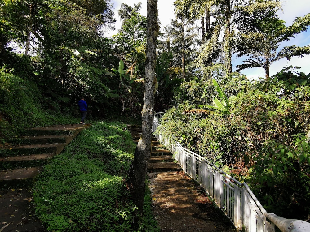 The Woodz Homestay