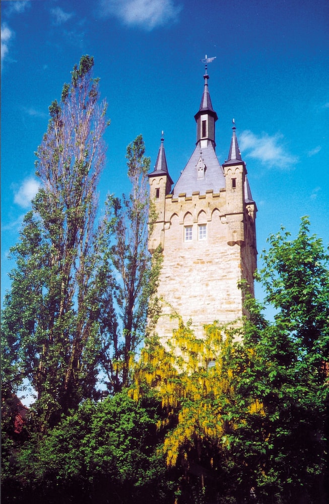 Photo 27