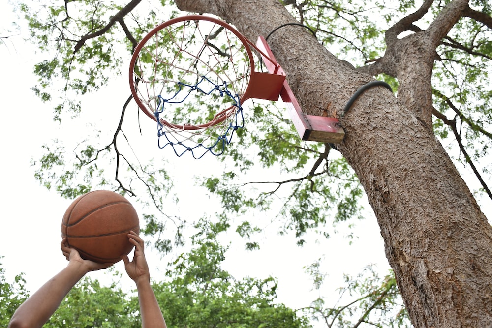 Big Game Yala by Eco Team