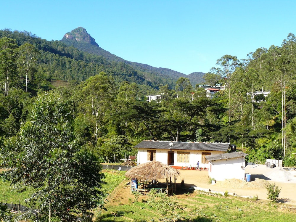 White House Adam's Peak
