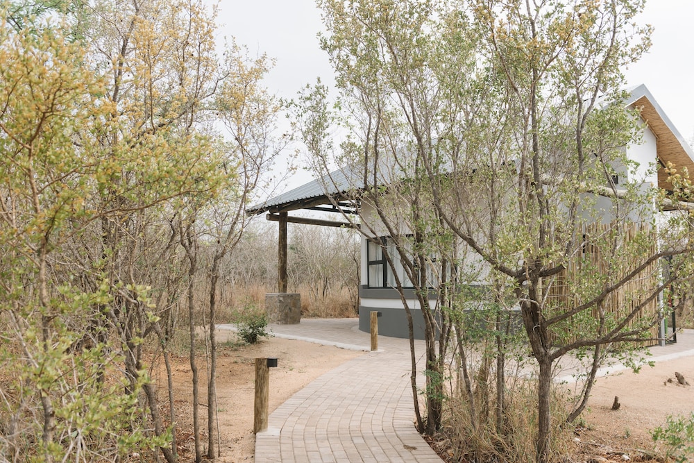The Orpen Kruger view 4
